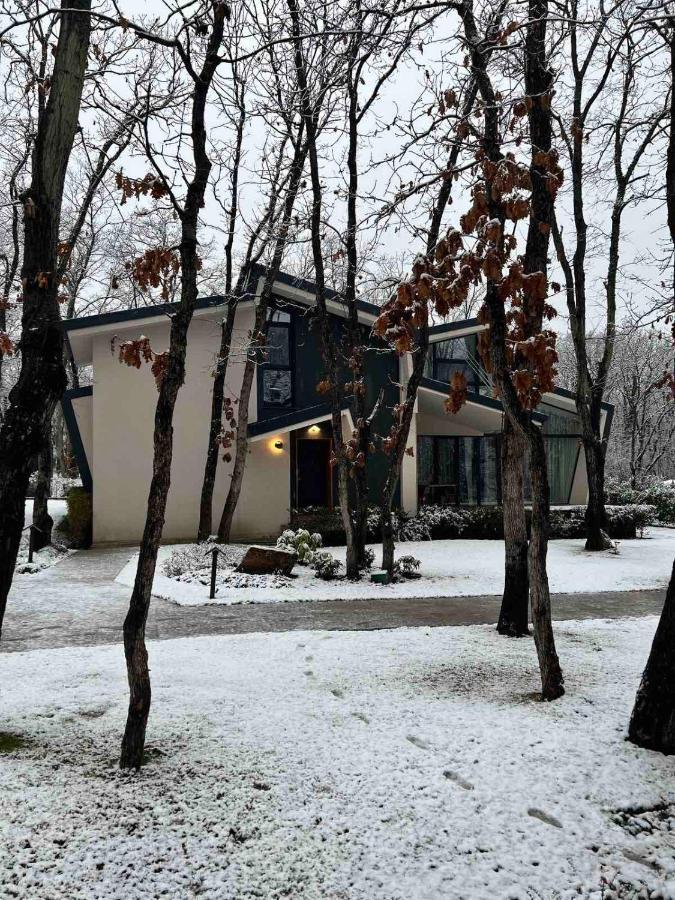 Utopia Forest Burgasz Kültér fotó